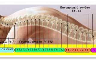 Почему болит спина в пояснице по луизе хей