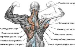 Почему болят мышцы всей спины