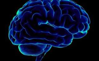 Что делать если болит голова а температуры нет