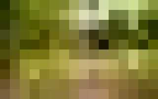 Чтобы не болела спина на даче