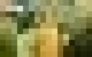 Как копать огород чтобы не болела спина