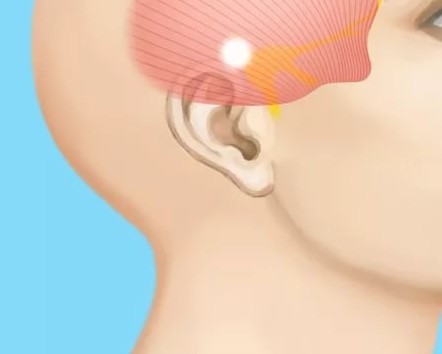 Болит голова в области правого виска и глаза