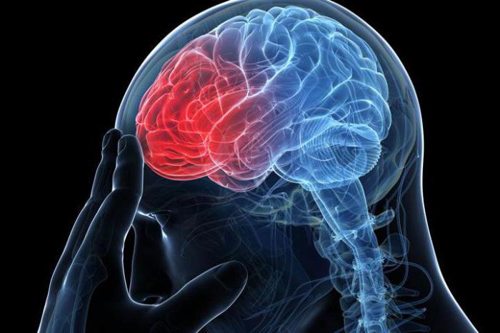 Влияние высокого атмосферного давления на сосуды головы