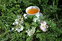 Терапия народными методами Чай