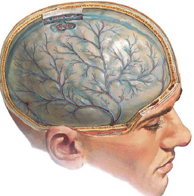 Болит спина может быть температура