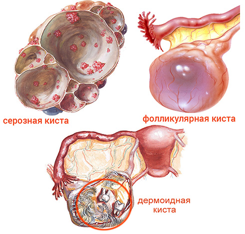 У подростка болит спина к какому врачу идти