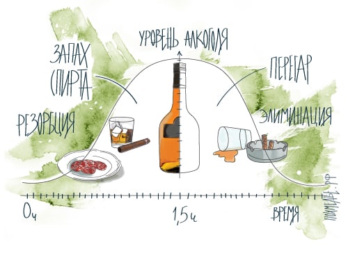 Как быстро протрезветь в домашних условиях. График изменения концентрации алкоголя в крови